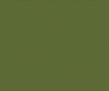 Eckrich digital advertising campaign