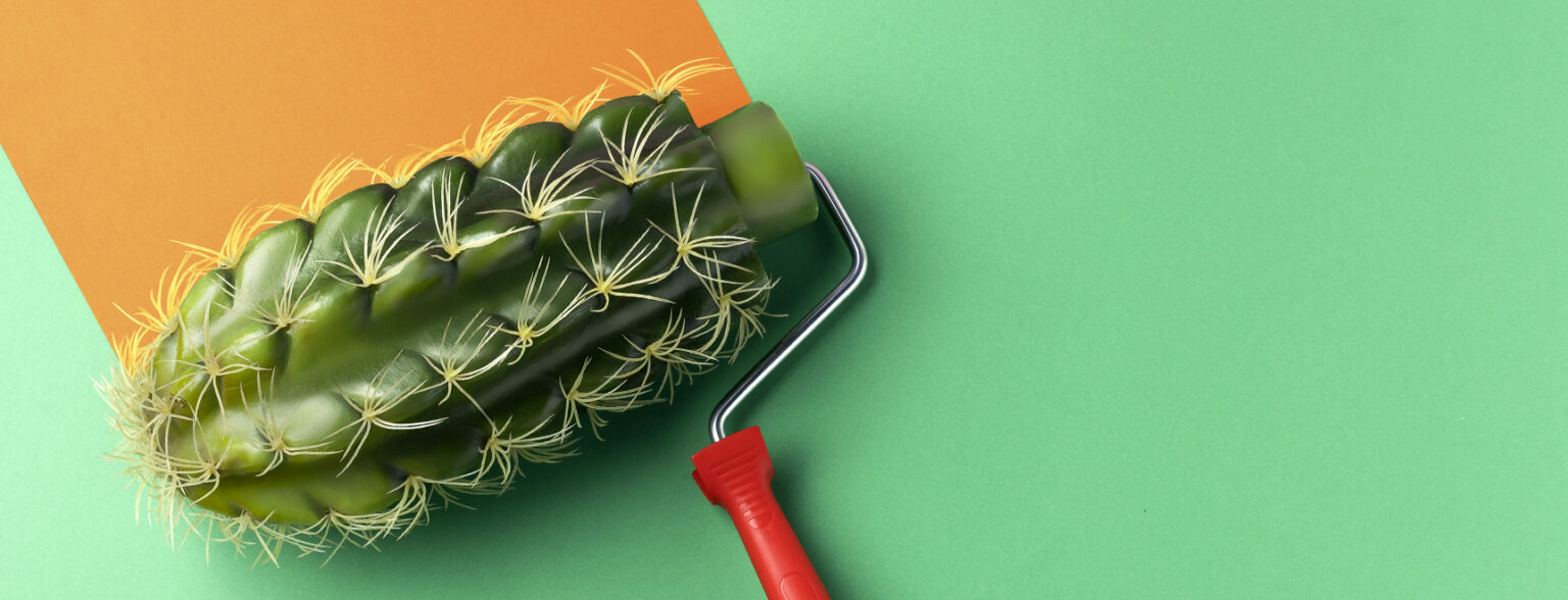 Cactus with paint roller representing innovation