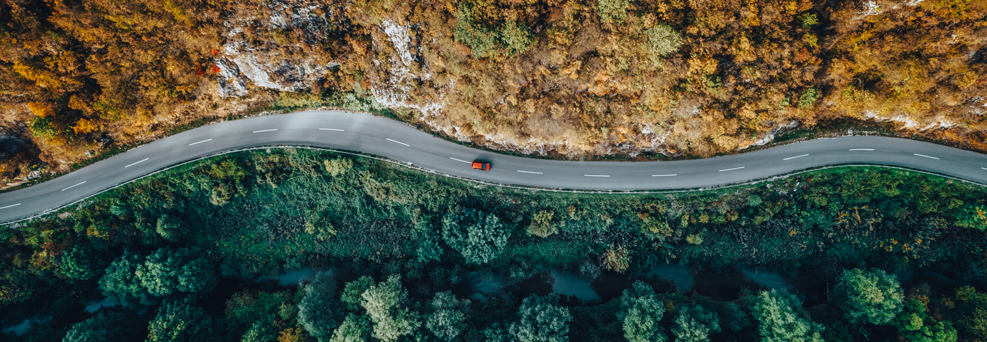 Aerial view of road through autumn forest